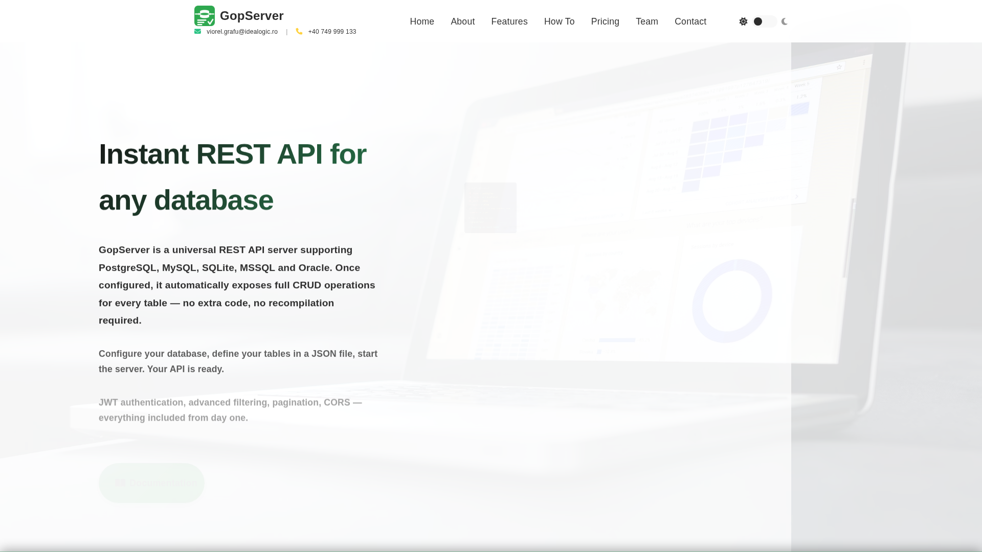 GopServer logo